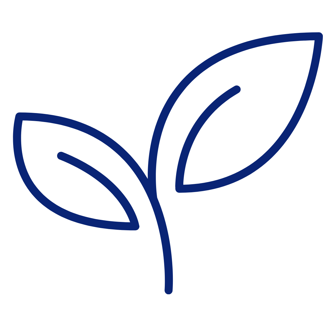 Blue outline of a simple plant with two leaves on a white background.