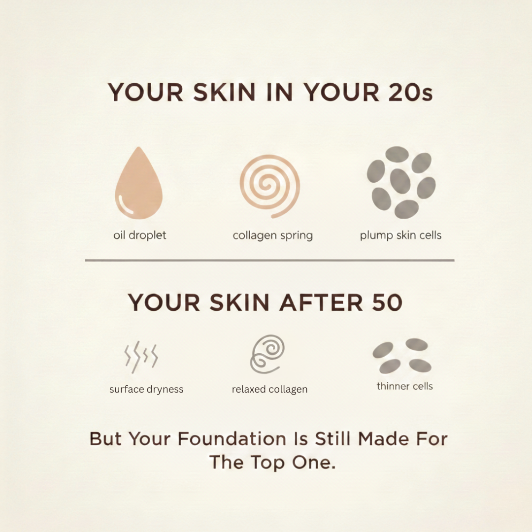An infographic comparing skin in one's 20s to skin after 50, showing changes in cells and collagen.
