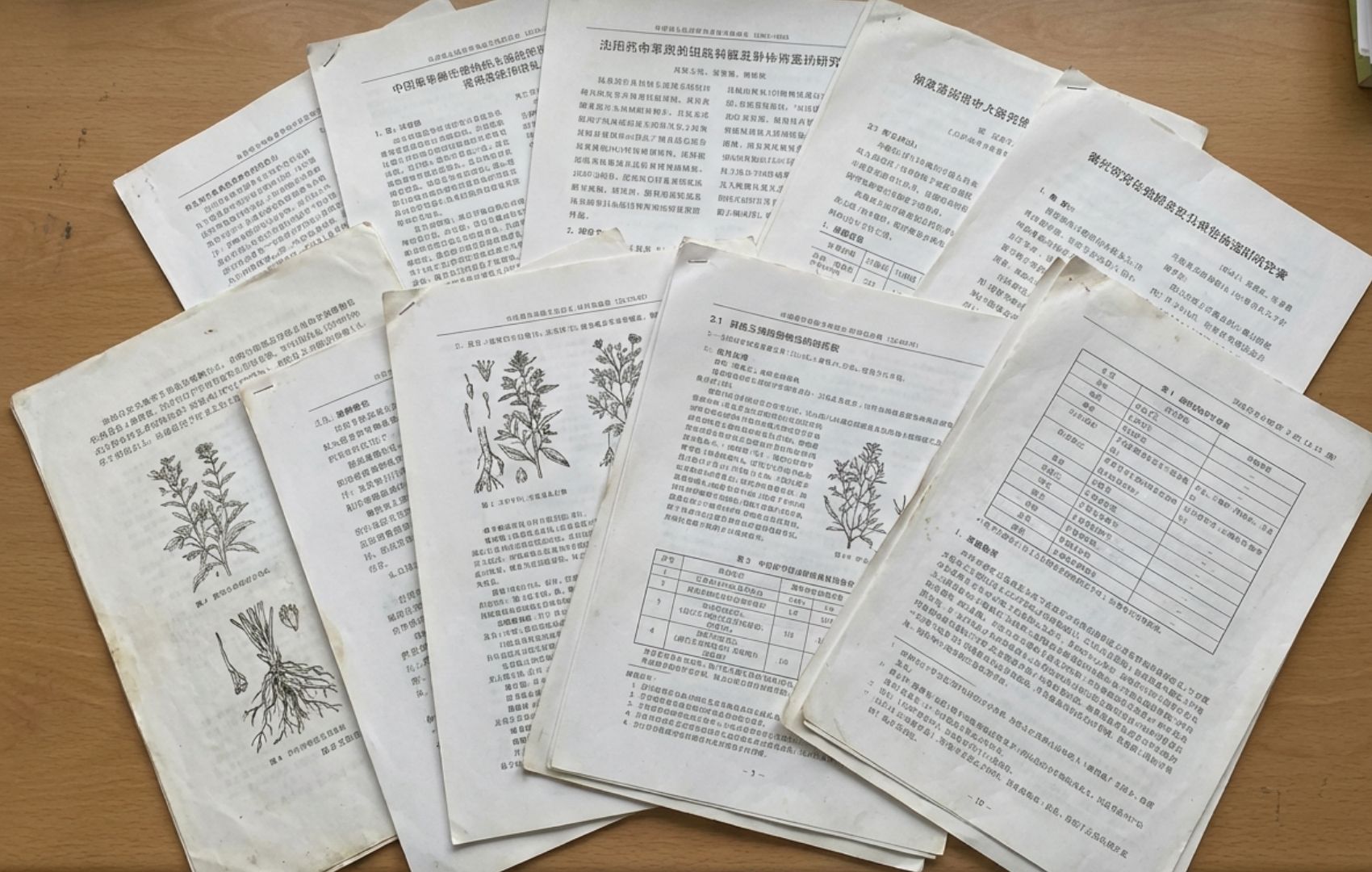 Several pages of a Chinese scientific paper with botanical illustrations are scattered across a flat surface.