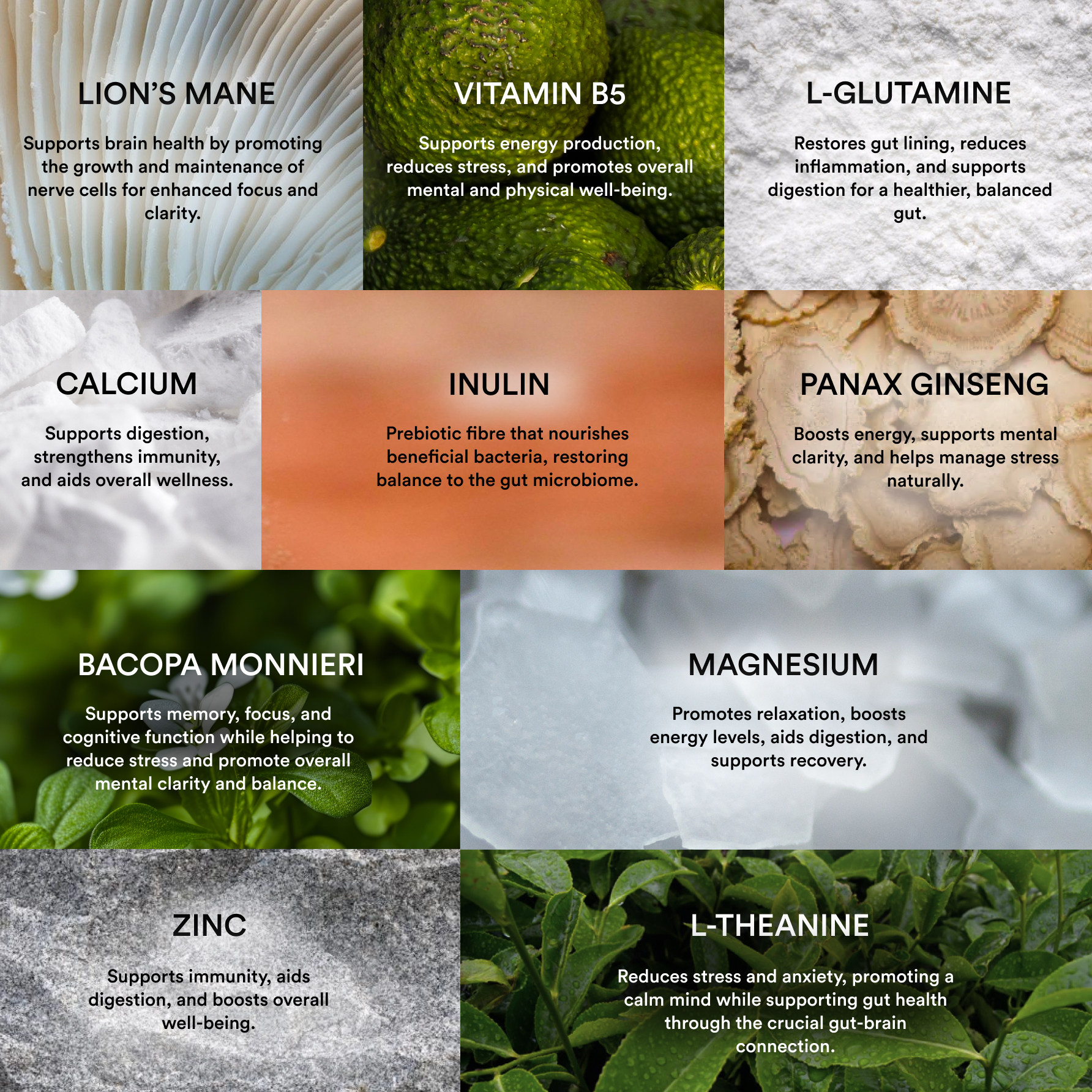 Image showing various supplements and their health benefits, including Lion's Mane, Inulin Prebiotic, Vitamin B5, and Zinc.