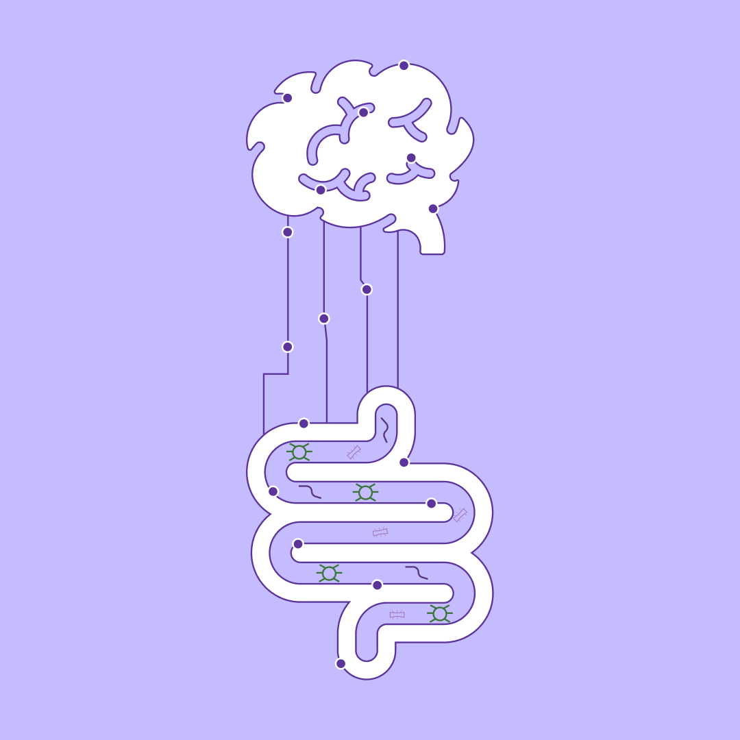 Stylized brain and gut connection illustration on a purple background.