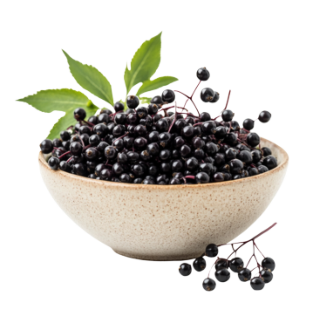 Bowl of black berries with green leaves.