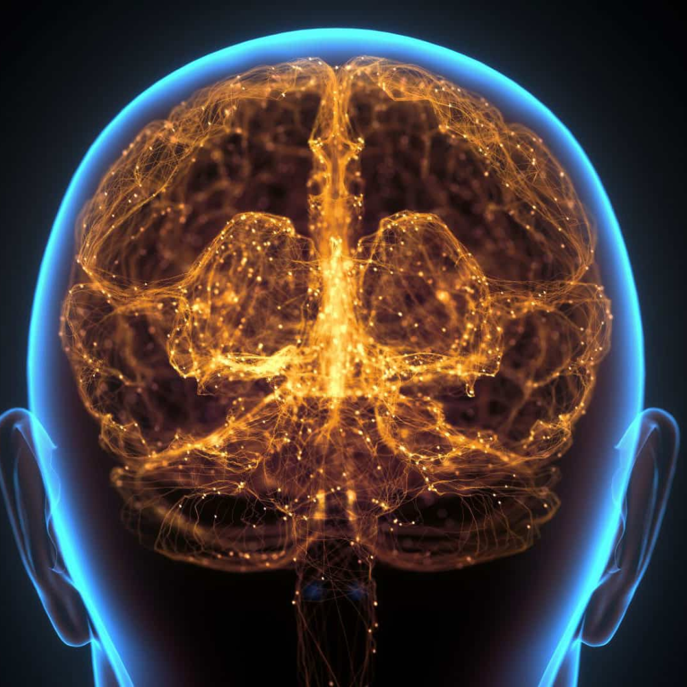 A digital illustration of a glowing neural network inside a transparent human head, seen from behind.