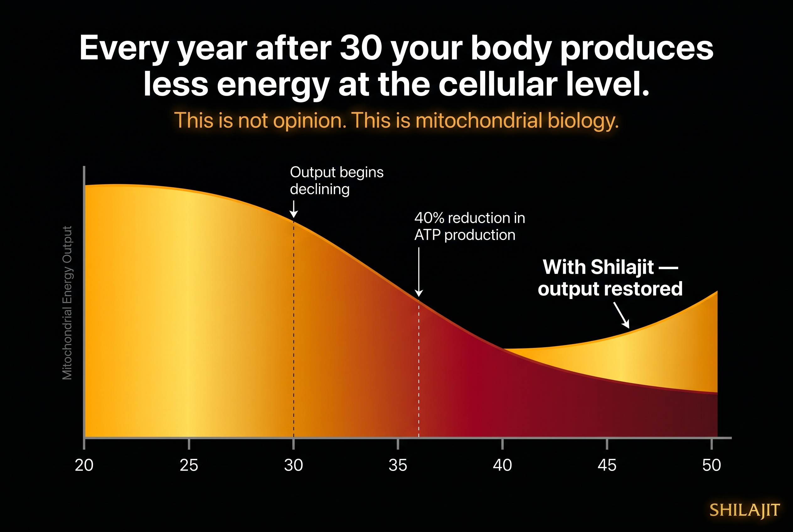 A chart showing how mitochondrial energy output declines with age and how Shilajit can restore it.
