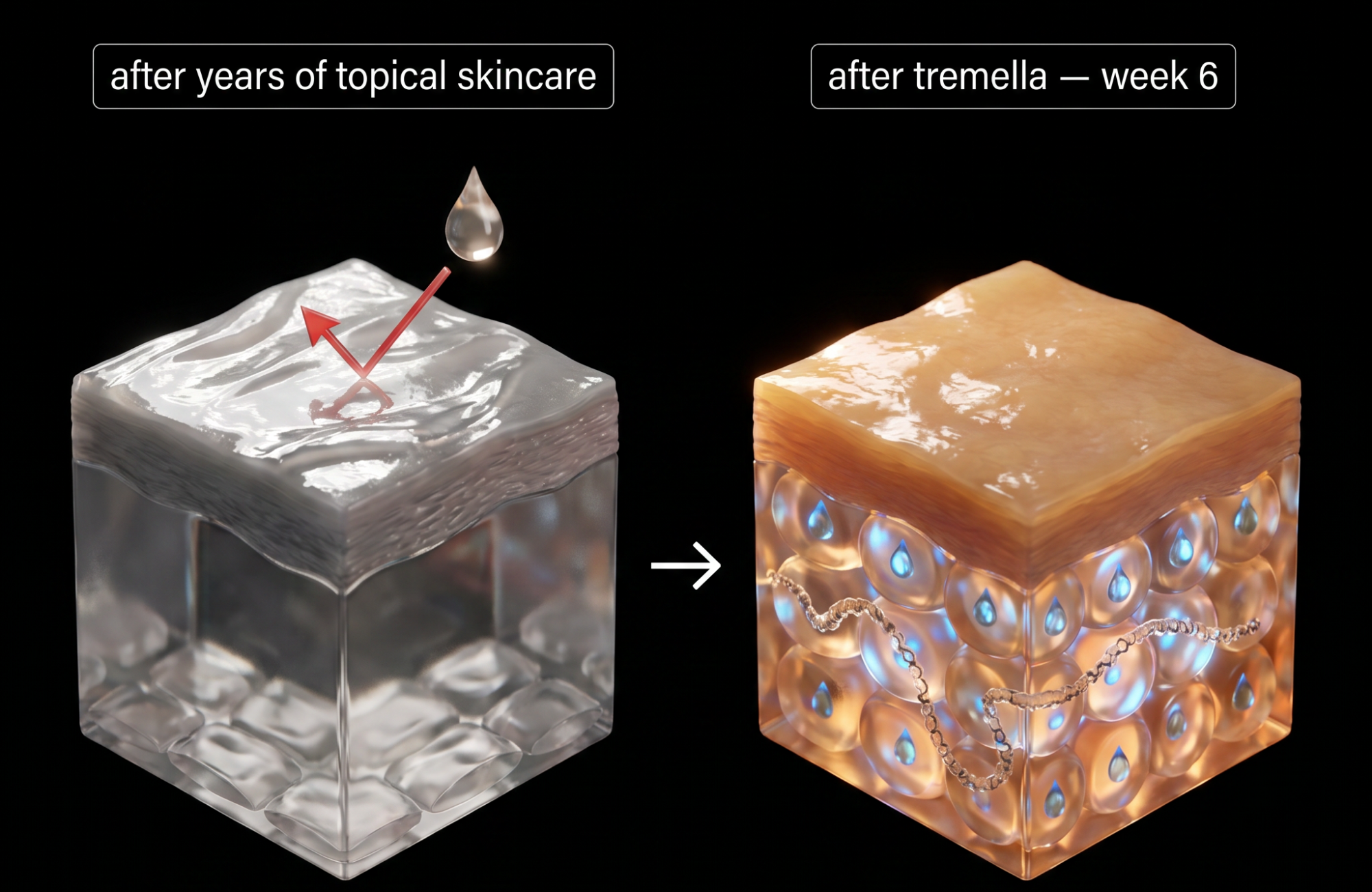 A before-and-after illustration of skin cross-sections comparing the effects of different skincare ingredients.