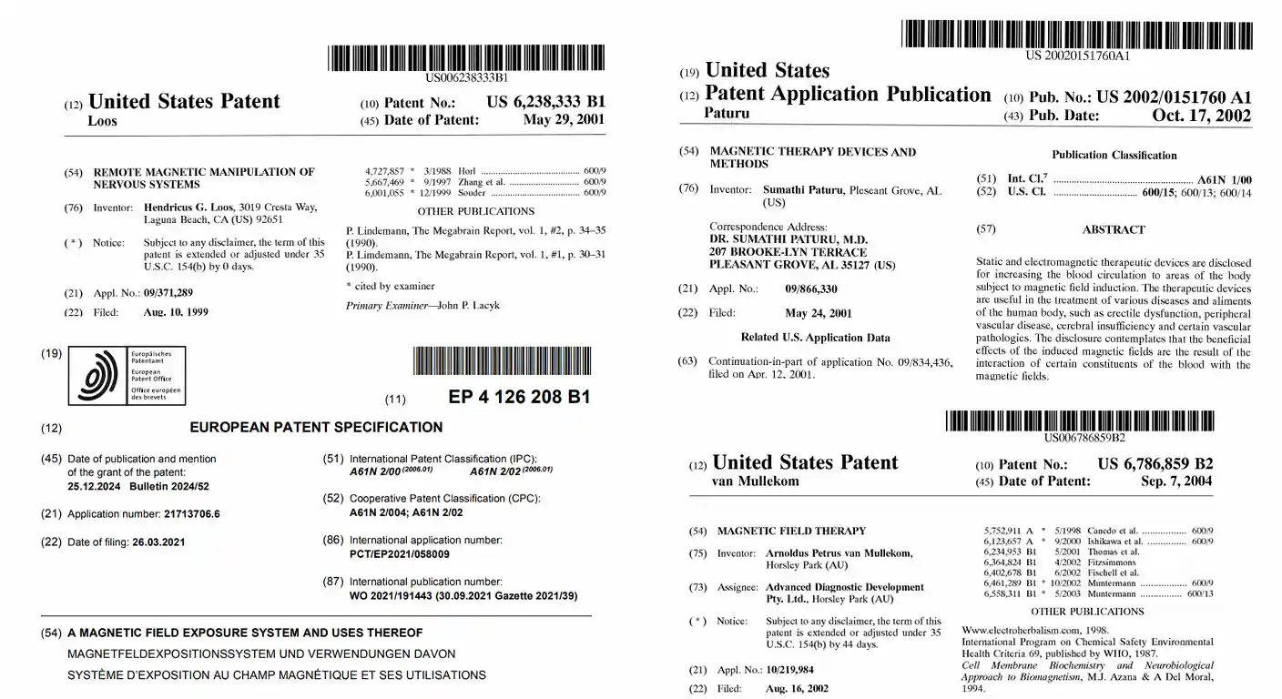 Various patent documents with titles and invention details displayed.
