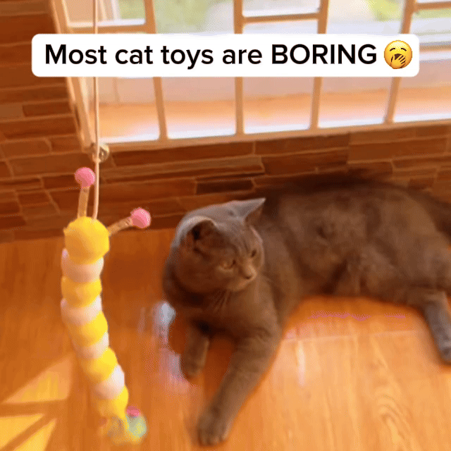 Gray cat lying on the floor next to a colorful caterpillar toy.