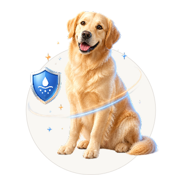 A golden retriever sitting with a shield icon and a glowing ring around it.