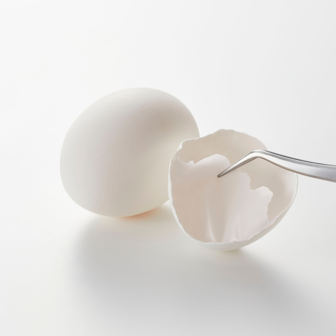 A whole white egg sits next to a broken half-shell, with tweezers peeling the inner membrane.