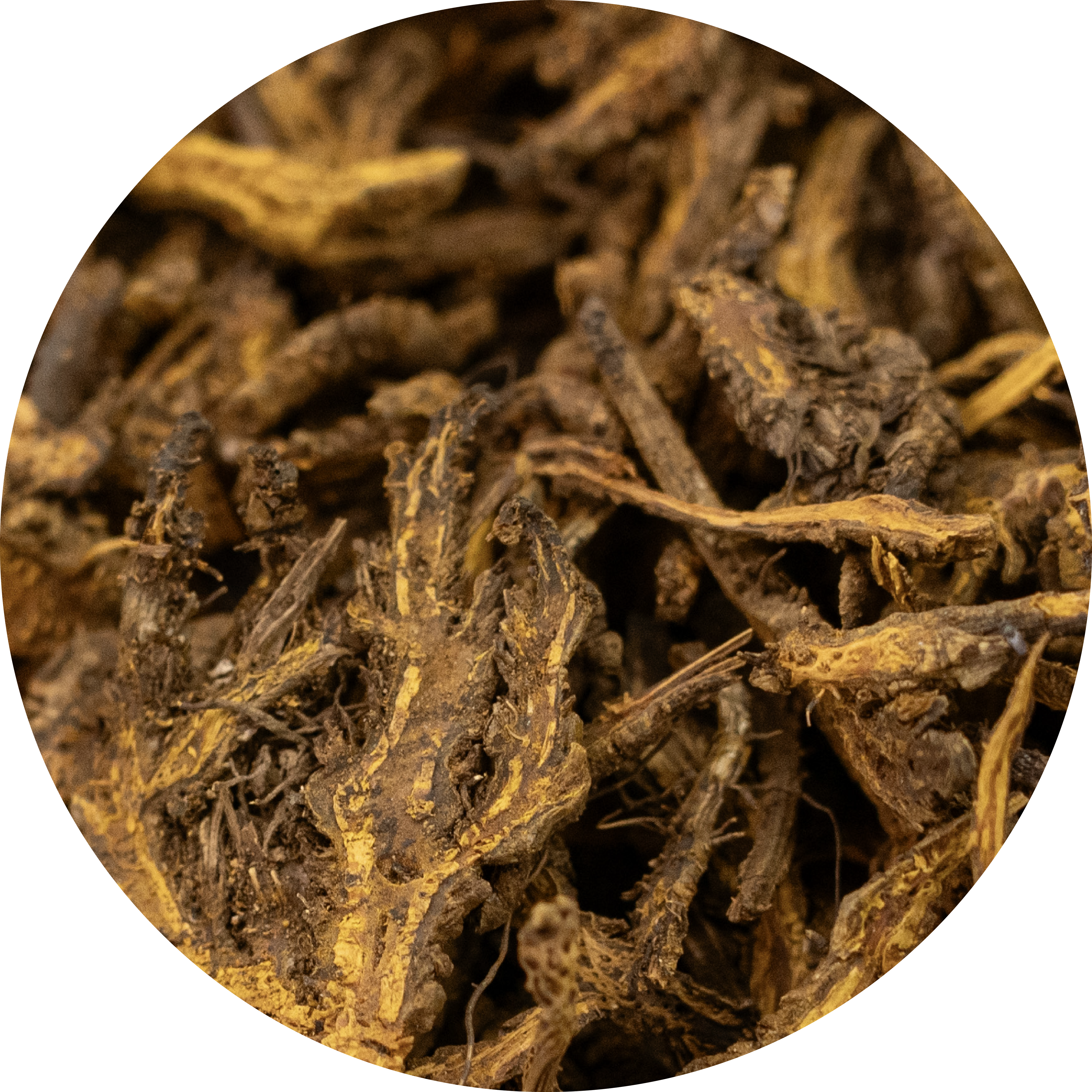 Close-up of dried, twisted roots with brown textures.