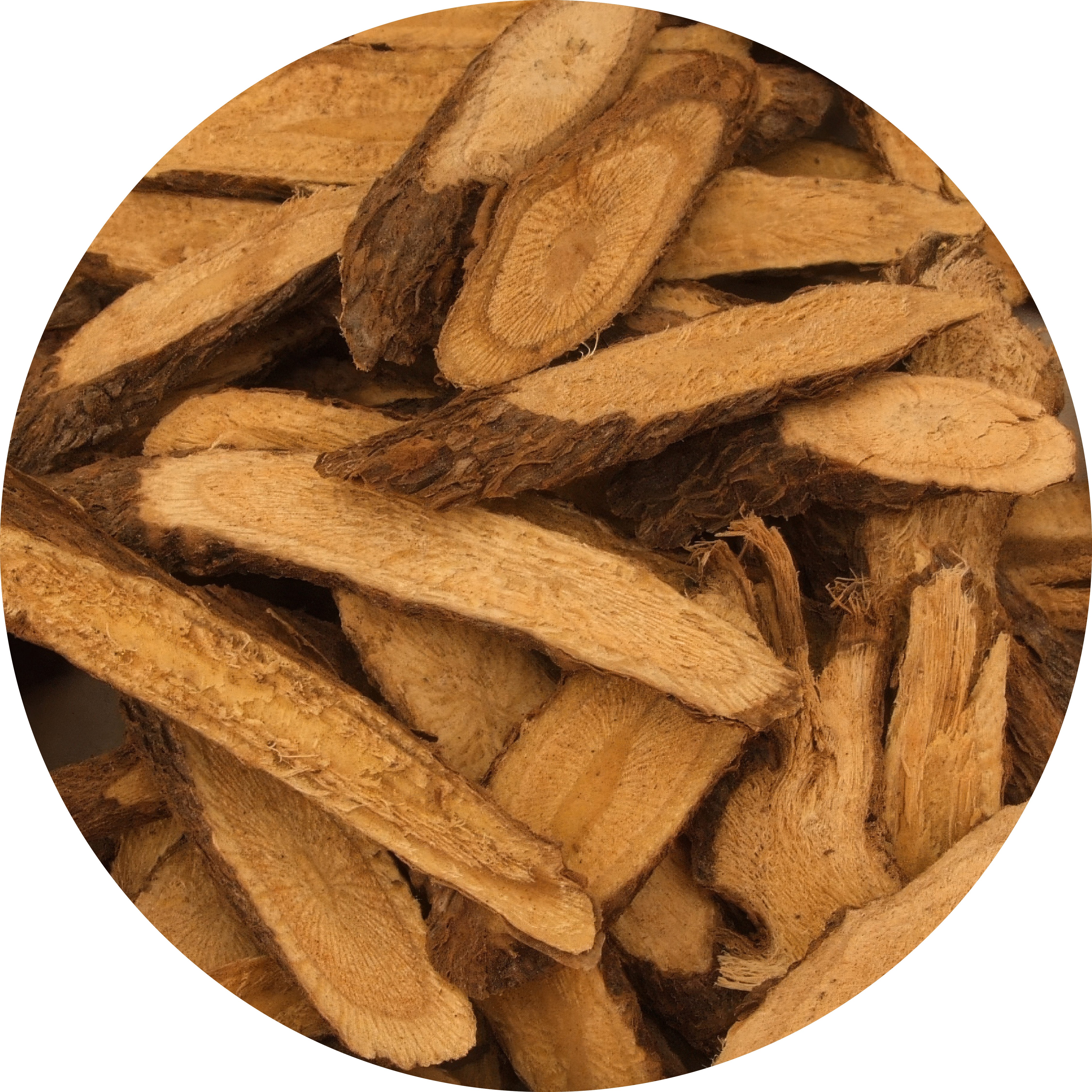 Slices of dried root with textured bark and light wood.