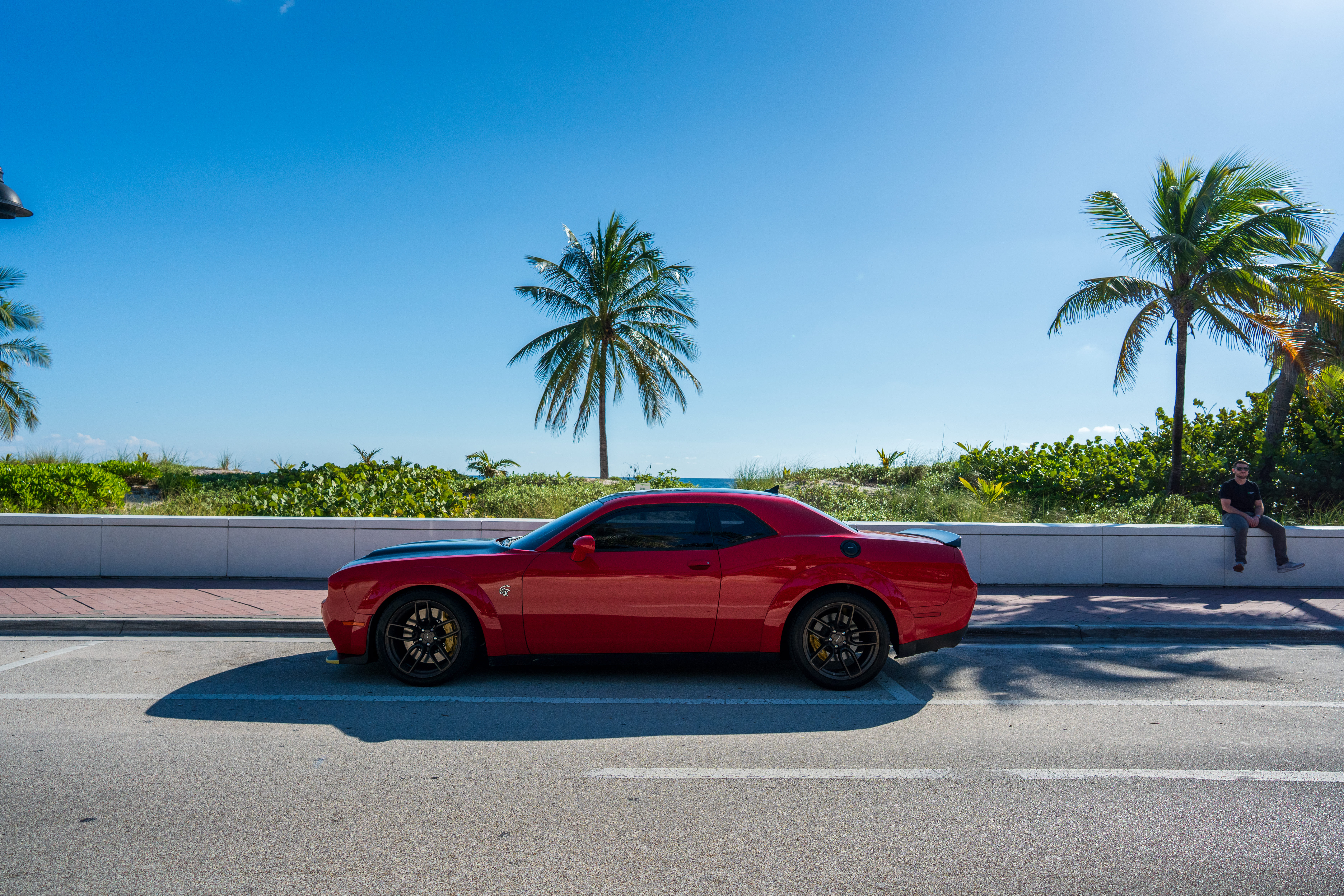 Red sports car parked by palm trees and clear blue sky.