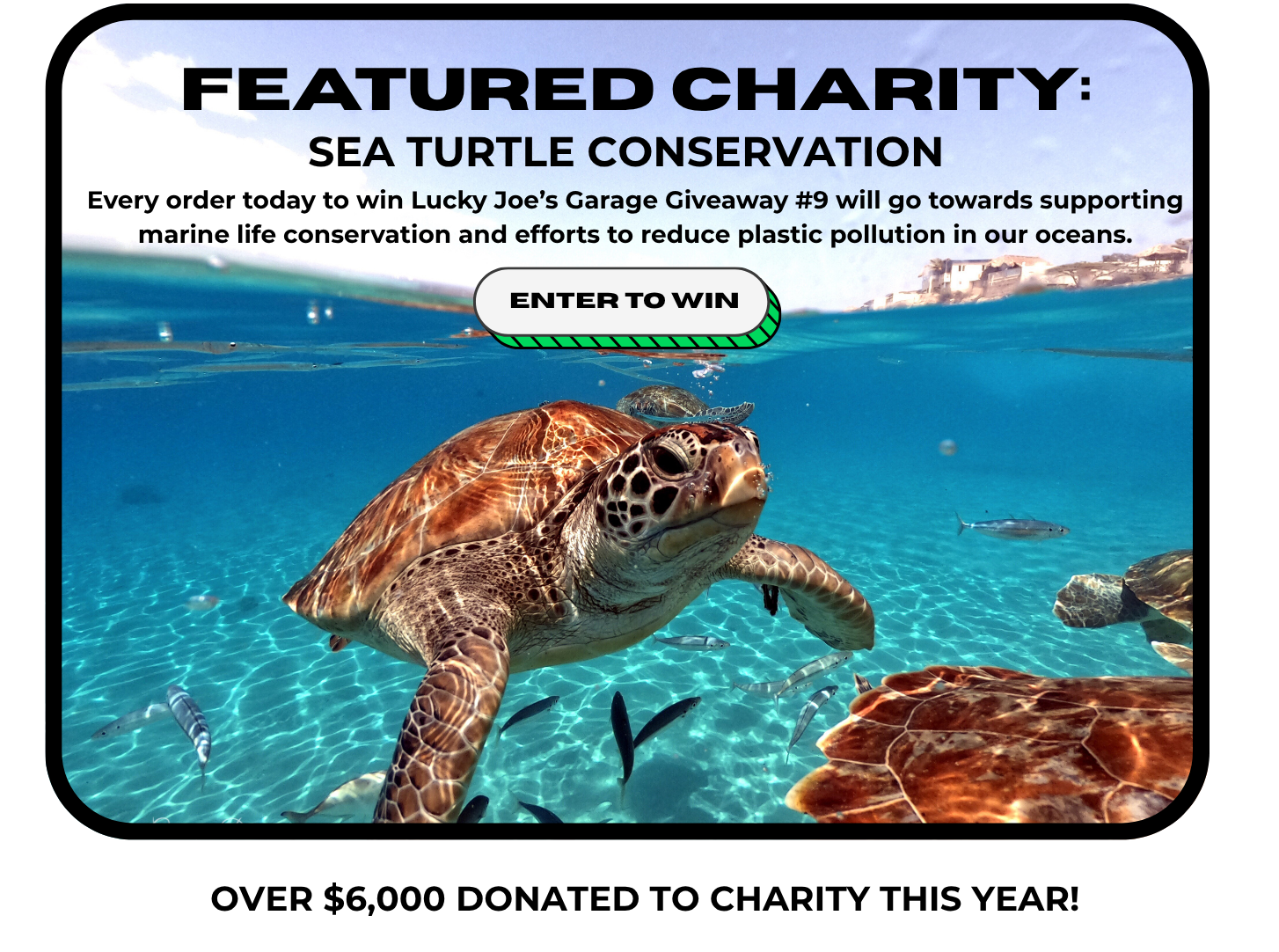 A promotional graphic for sea turtle conservation, featuring several sea turtles swimming in clear blue water.