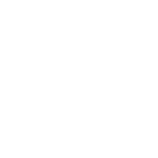 A white lightning bolt icon on a transparent background.