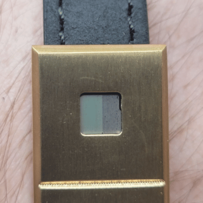 Close-up of a brass buckle with a black strap.