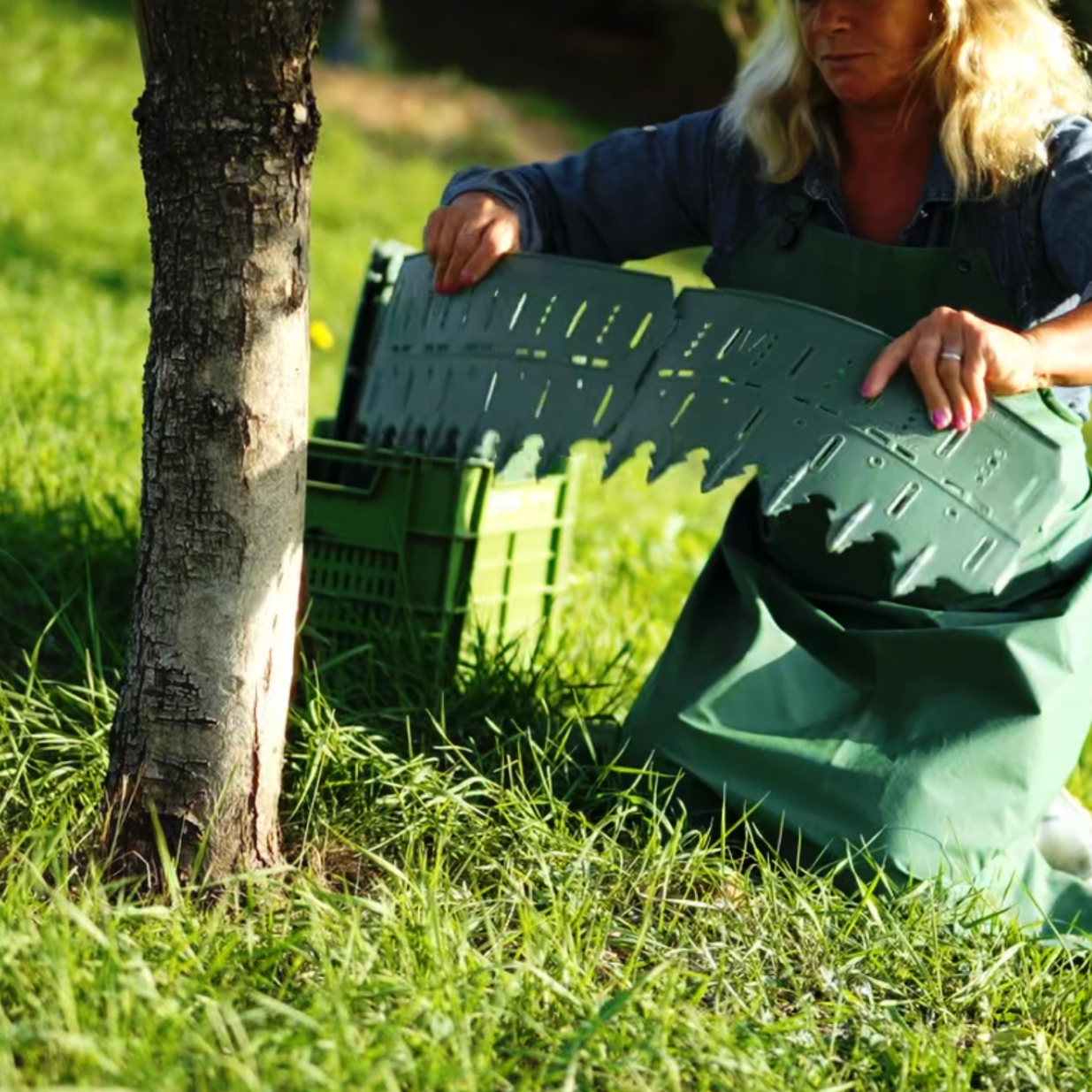 A person in a green apron kneels on grass, holding a plastic tree guard next to a tree trunk.