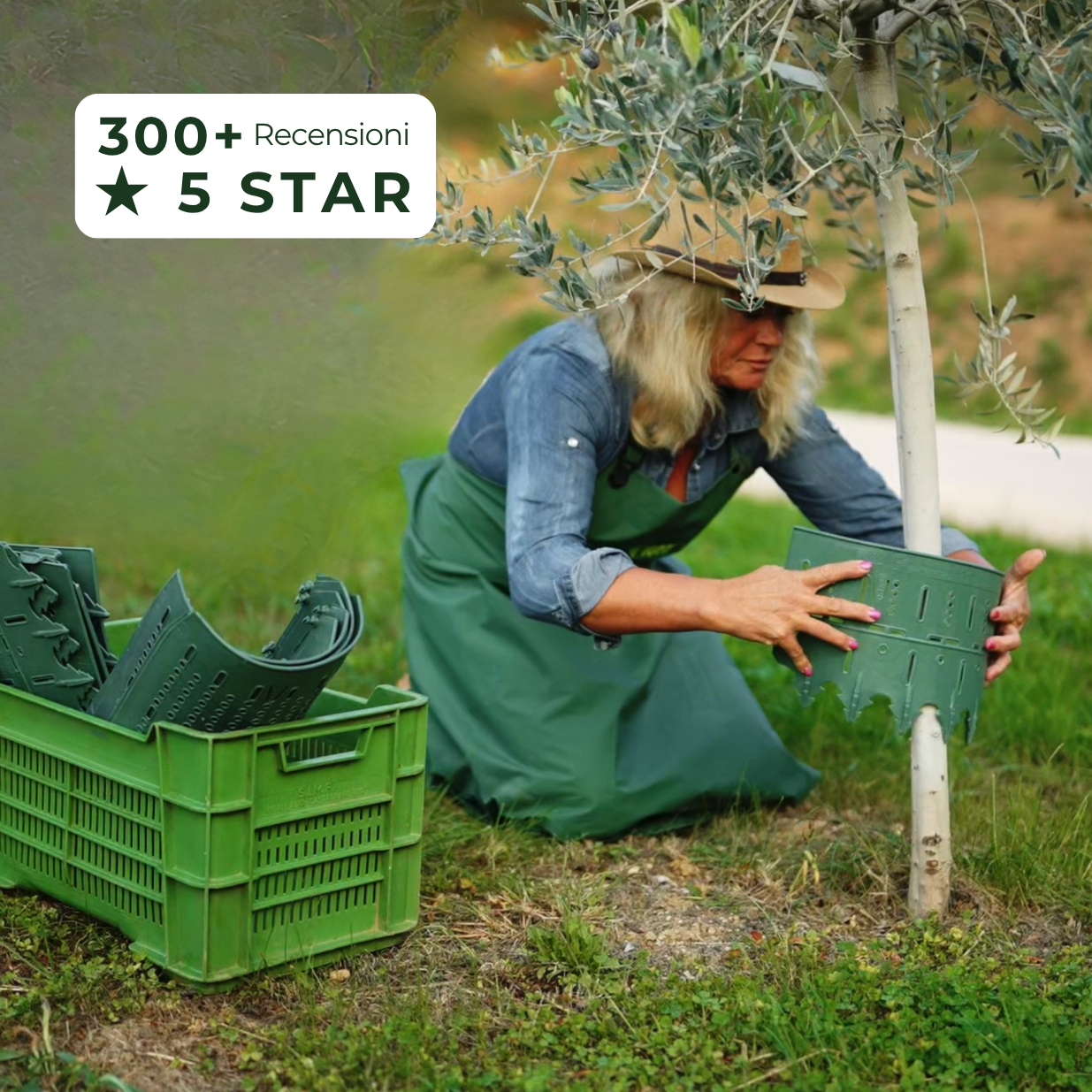 A woman in a green apron attaches a plastic protector around the base of a young tree.