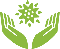 Green hands holding a stylized sun or star symbol.