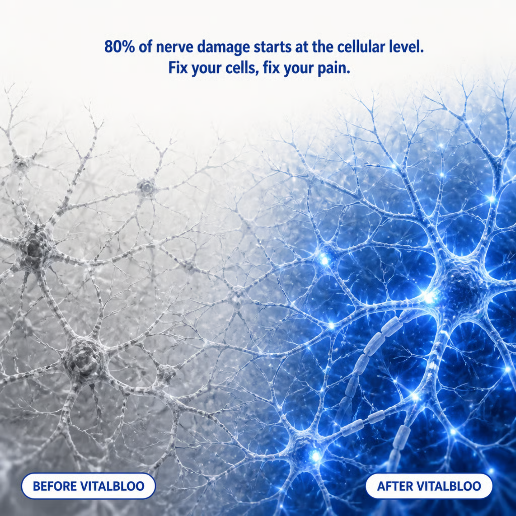 A before-and-after graphic showing inactive grey nerve cells on the left and active blue nerve cells on the right.