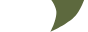 A small, abstract green and black shape on a white background.