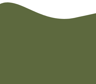Green wavy shape on a transparent background.
