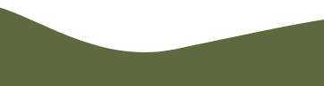 A wavy green and black abstract shape.