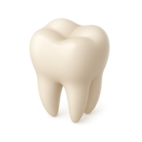 Tooth