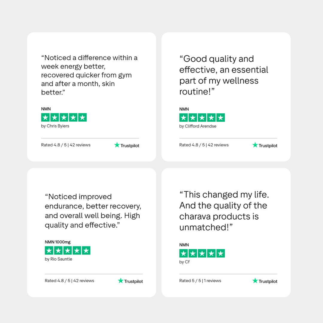 A grid of four customer reviews with five-star ratings and Trustpilot logos.