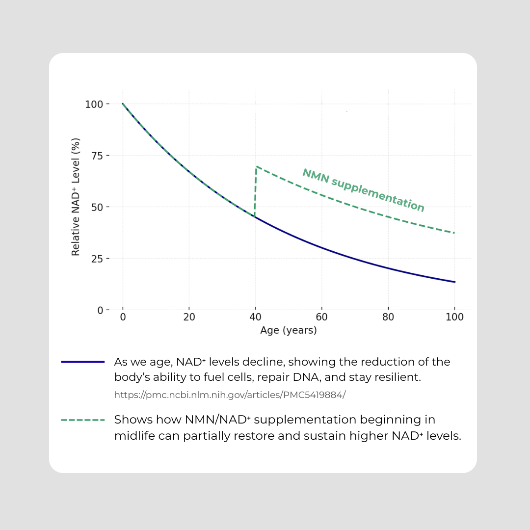 A line graph showing NAD+ levels declining with age and the restorative effect of NMN supplementation.