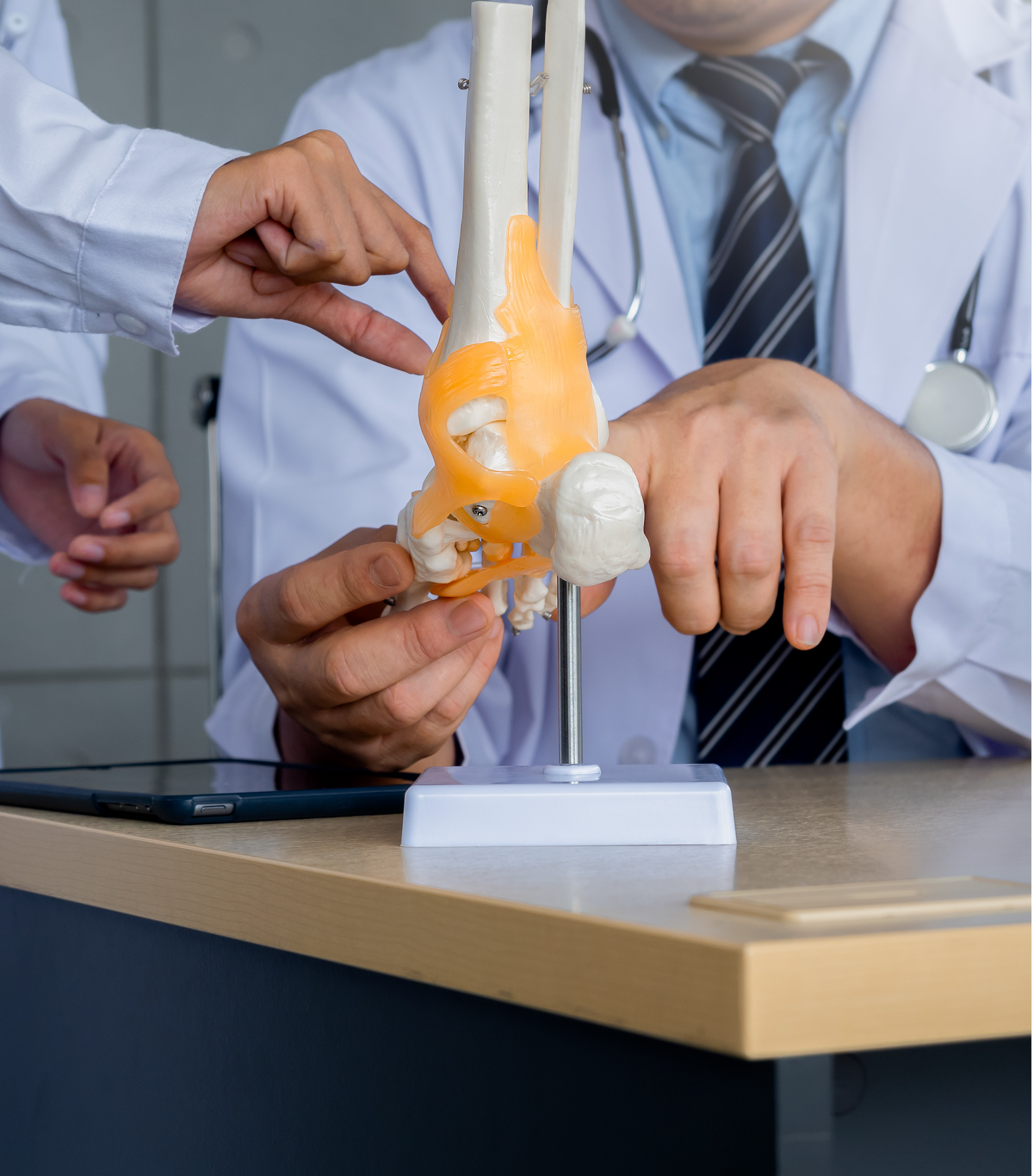 Two doctors in white coats examine a model of a human ankle joint while sitting at a desk.