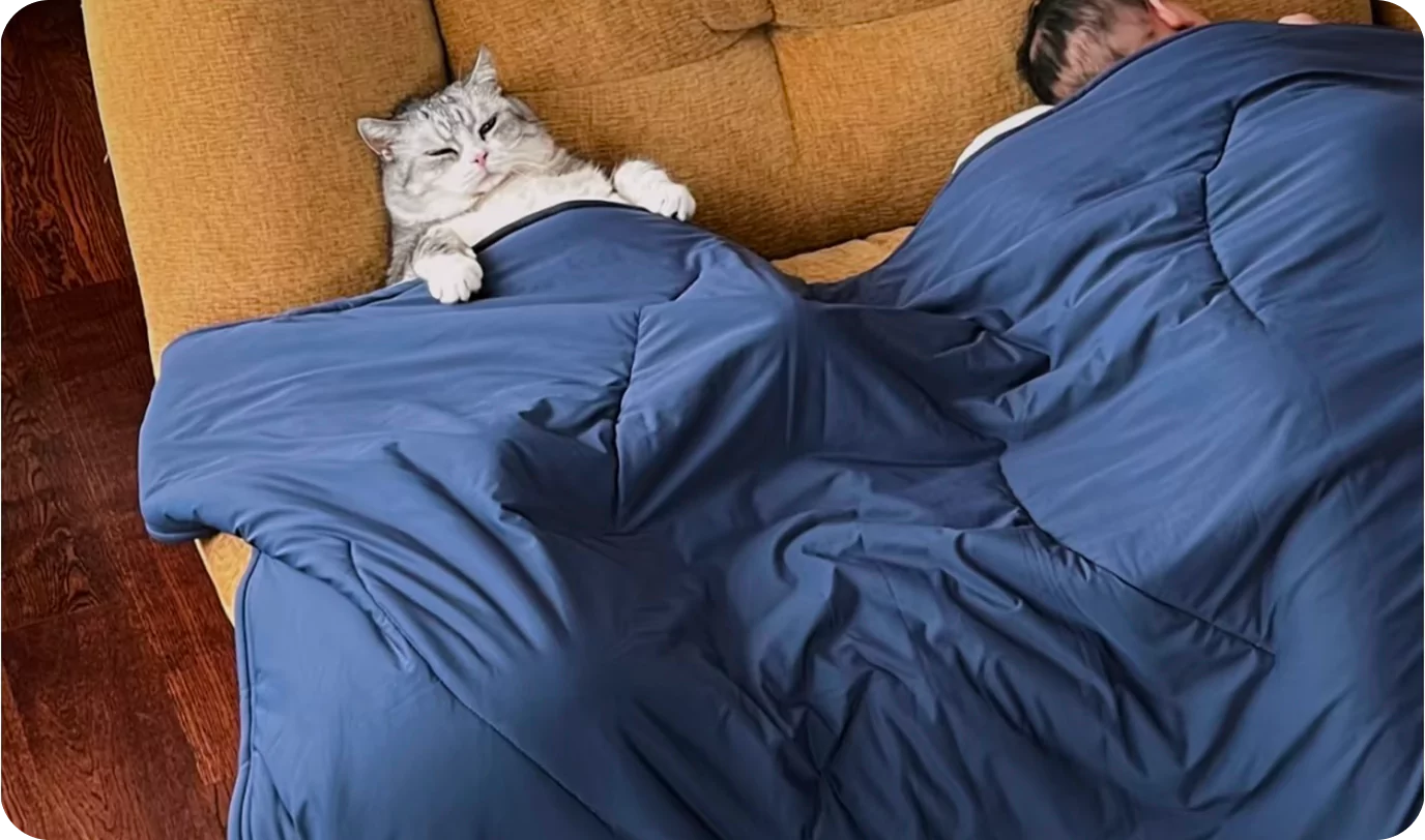 Cat and person sleeping under a blue blanket on a couch.