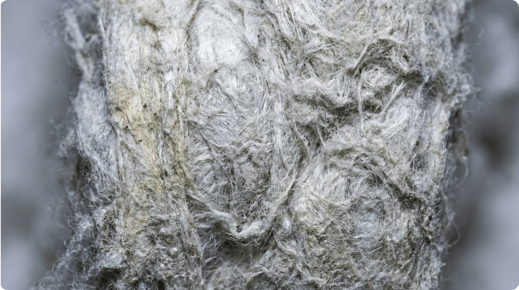 Macro photo of pillow fill fibers