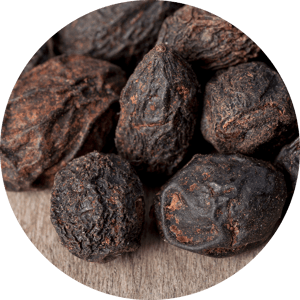 Saw Palmetto