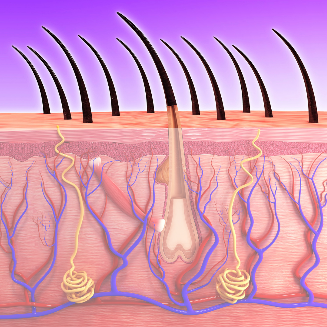 Doctor and patient discussing at a desk with a stethoscope and clipboard.