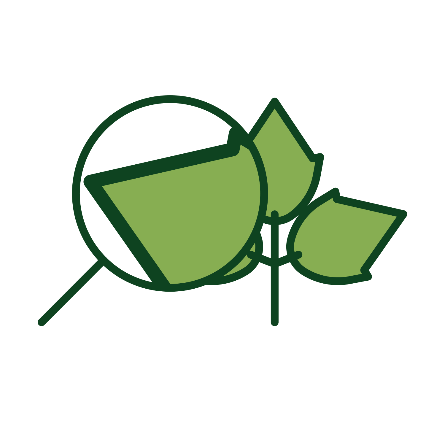 A stylized icon of a magnifying glass examining the leaves of a small plant.