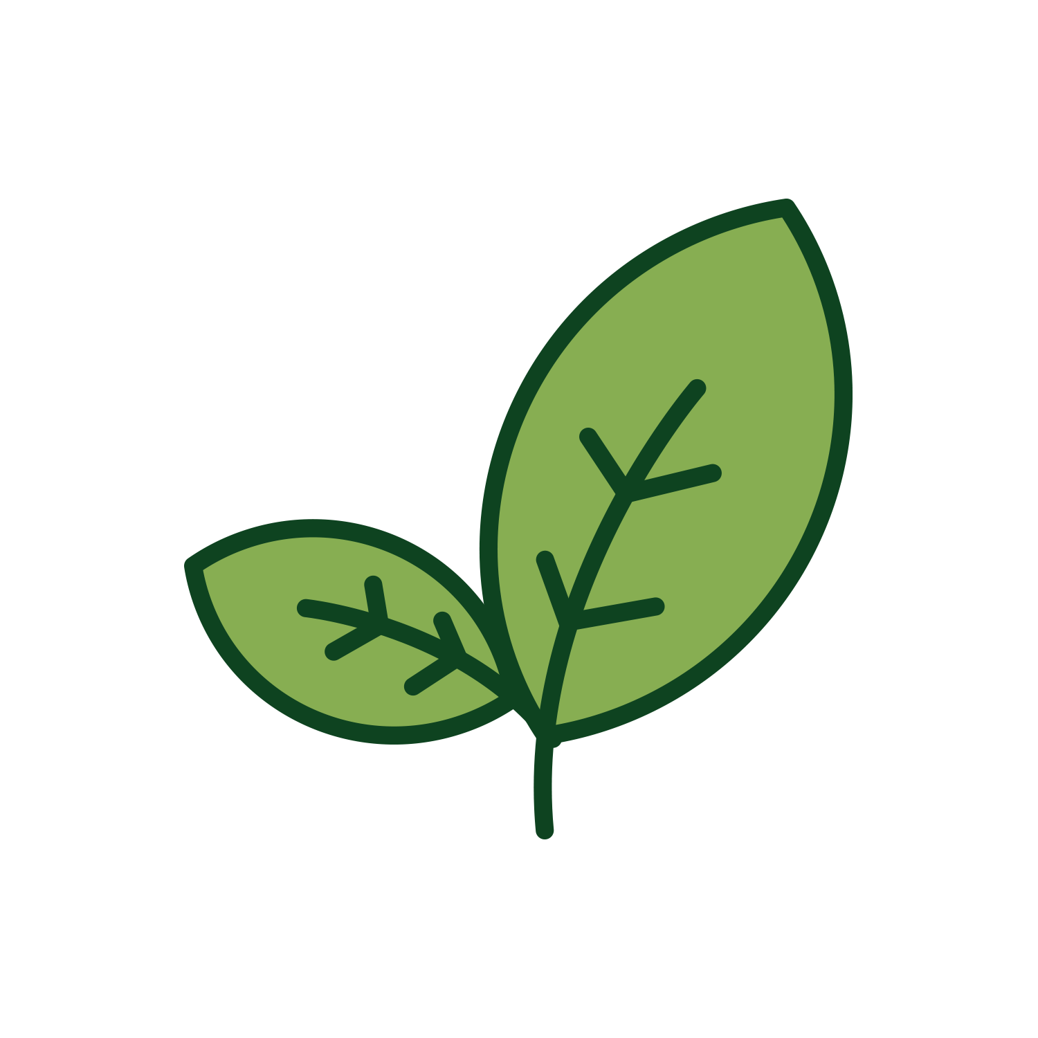A simple cartoon illustration of two green leaves on a stem with dark green outlines.