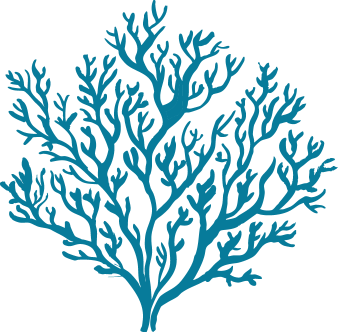 Blue silhouette of coral with branching patterns.