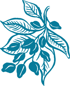 Blue line drawing of a leafy branch with berries.