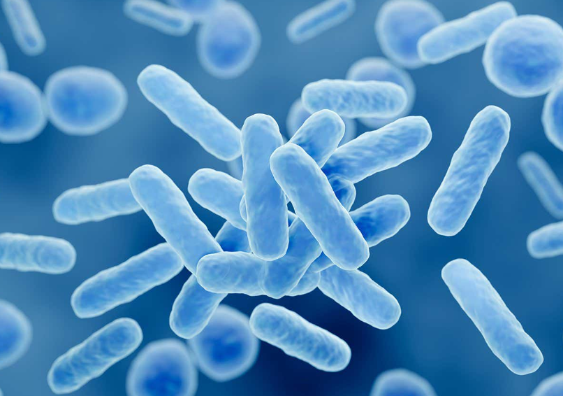 A 3D rendering of light blue, rod-shaped bacteria clustered together against a blue background.