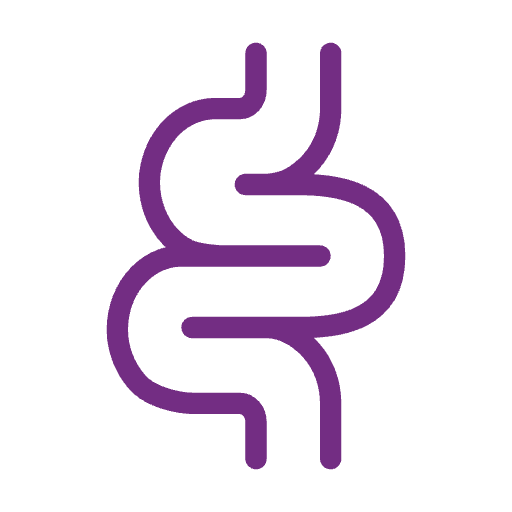 Purple line drawing of a stylized human intestine on a white background.