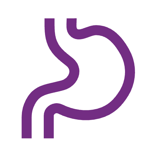 Purple line drawing of a stomach on a white background.