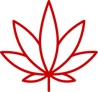 A red outline of a cannabis leaf on a black background.