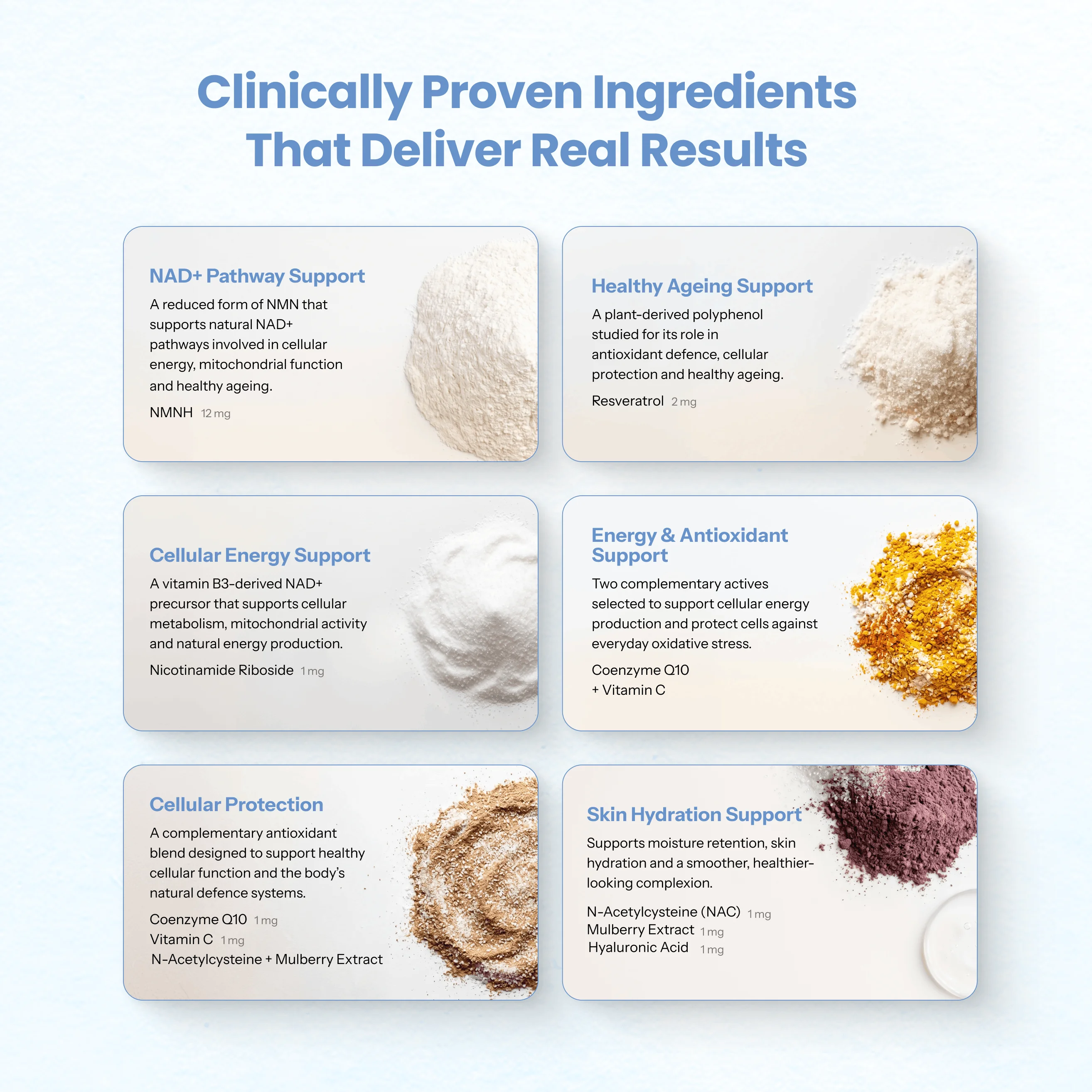 An infographic showing six different supplement ingredients as powders with text explaining their health benefits and ingredients.