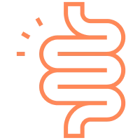 'Abstract orange depiction of intestines on a gray background.'
