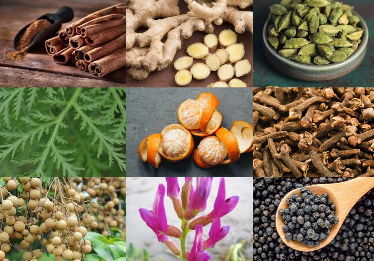 Collage of various herbs and spices including cinnamon, ginger, cardamom, orange peels, and black pepper.