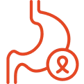 Red outline of a stomach with a magnifying glass icon.
