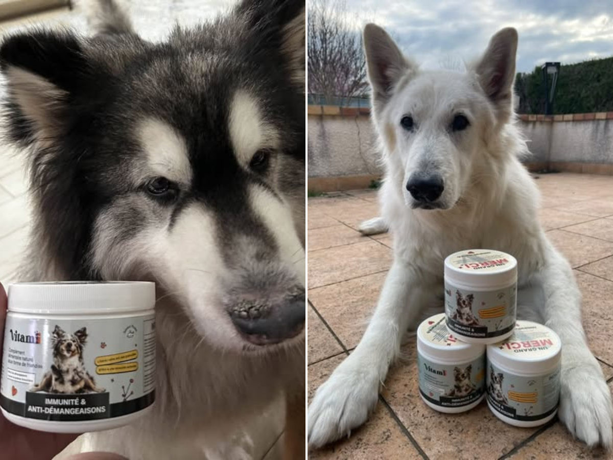 Two dogs with containers of pet supplements.
