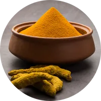 A bowl of turmeric powder with turmeric roots beside it.