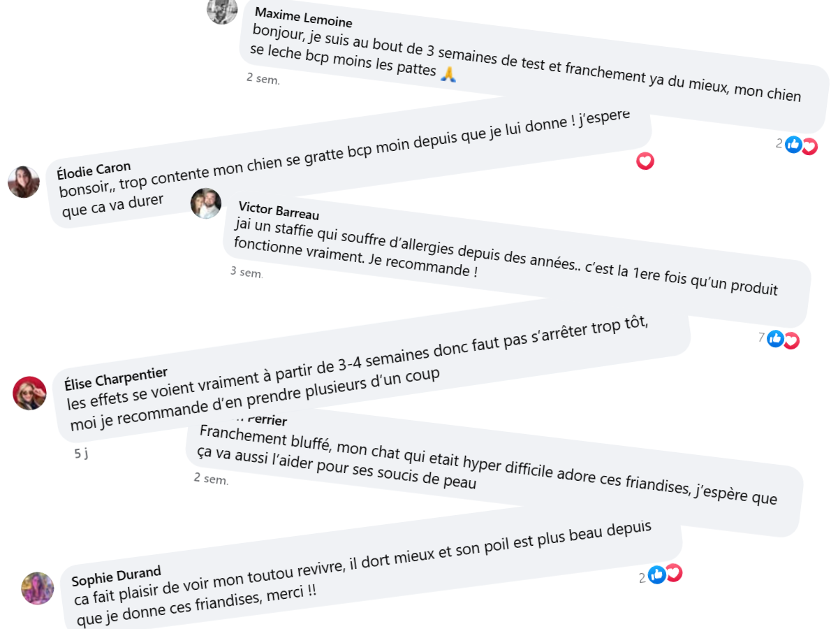 French text comments about pet products with user names and reactions.
