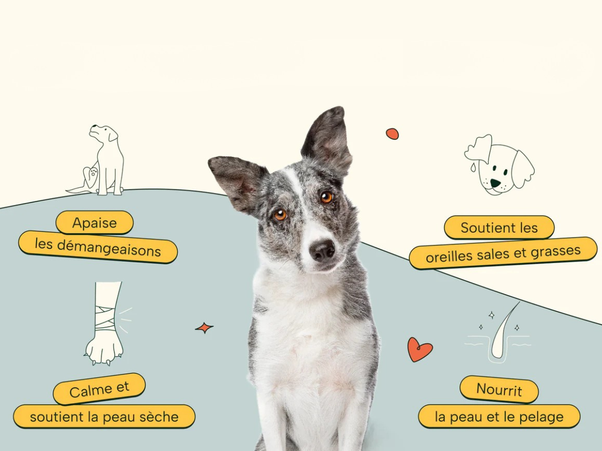 Dog with text in French about skin and ear care benefits.